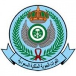 Royal_Saudi_Air_Force_logo